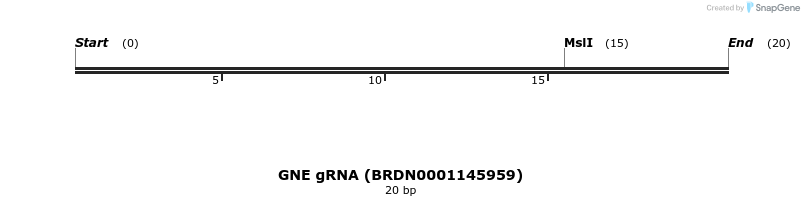 145292_map
