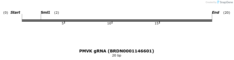 145295_map