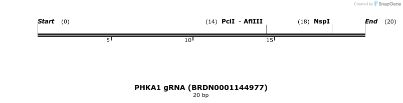 145298_map