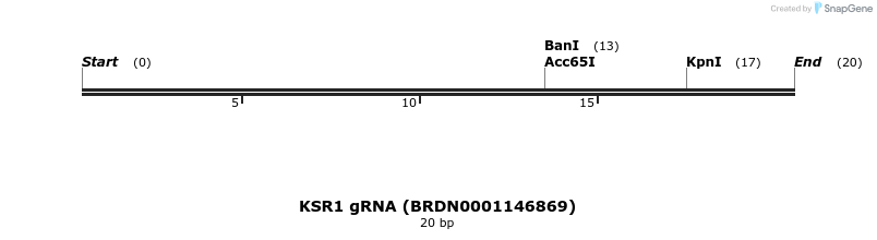 145318_map