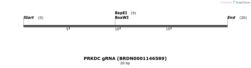 145321_map