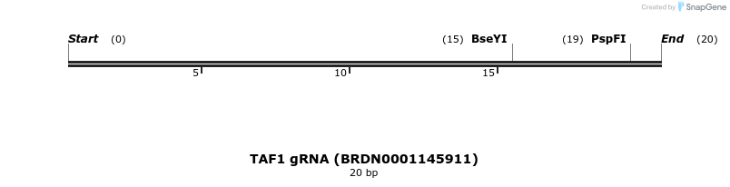 145330_map