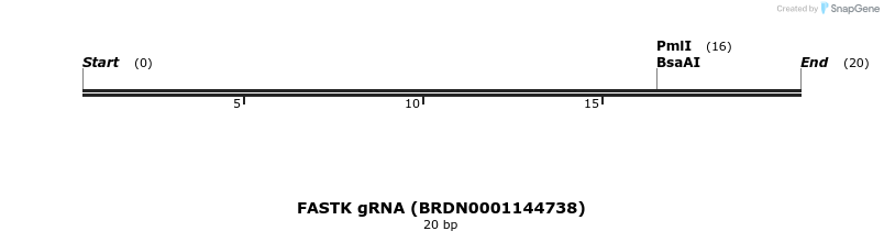 145336_map