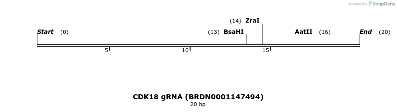 145339_map