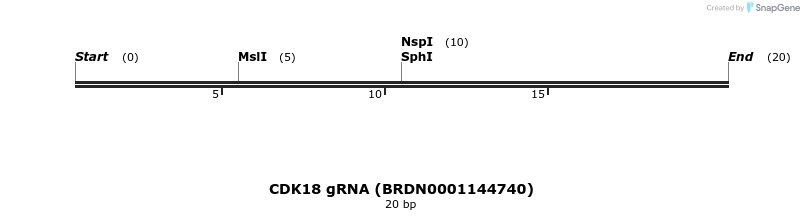 145340_map