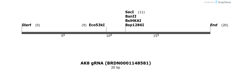 145345_map