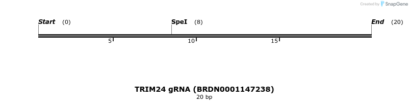 145349_map