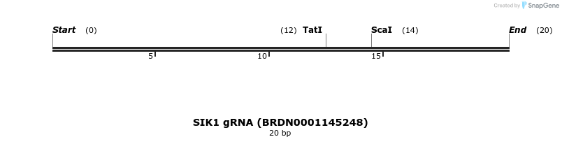 145355_map