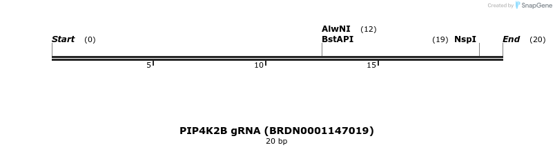 145363_map
