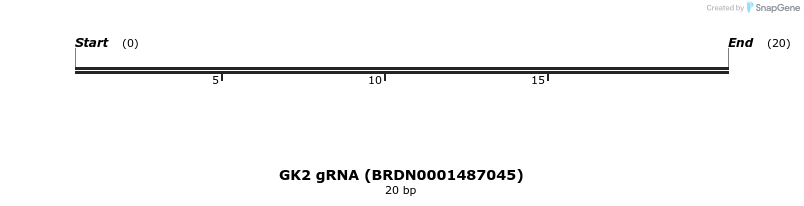 145371_map