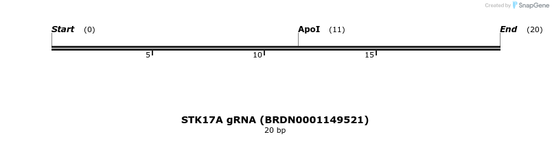 145377_map