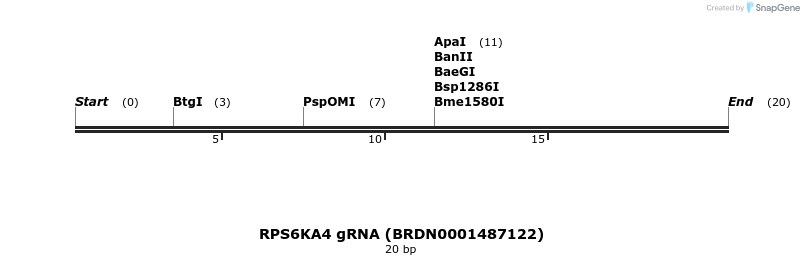 145379_map