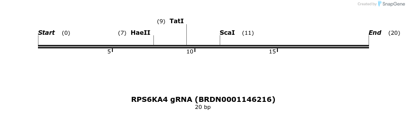 145380_map