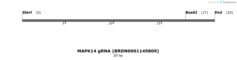 145383_map