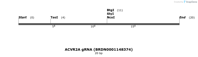 145391_map