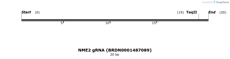 145392_map