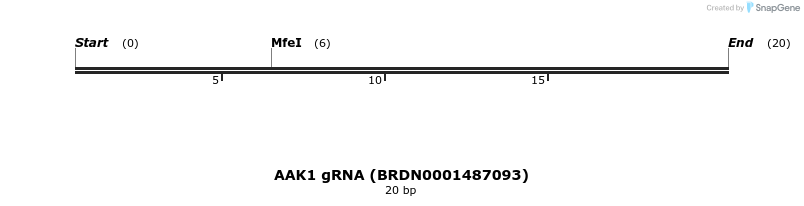 145396_map
