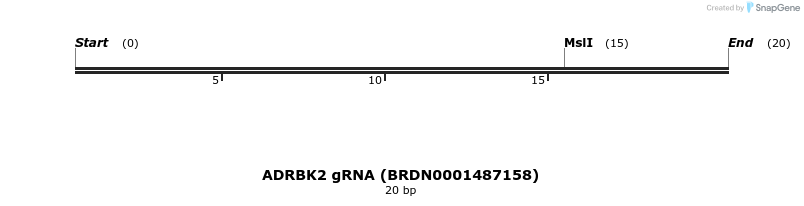 145403_map