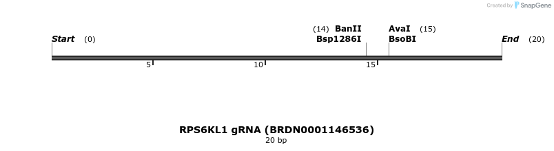 145411_map