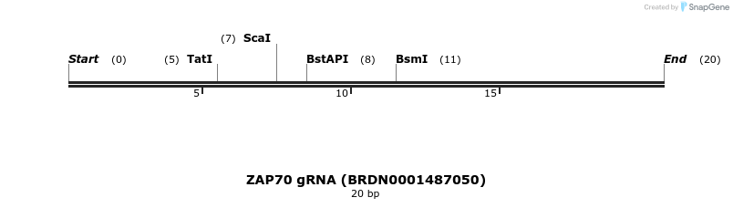 145416_map