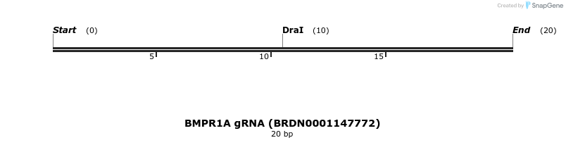 145420_map