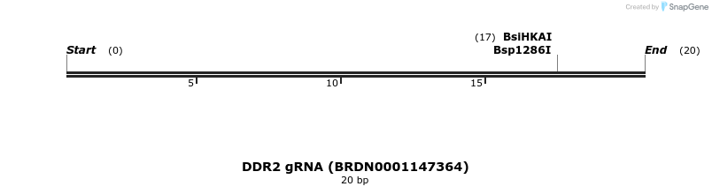 145432_map
