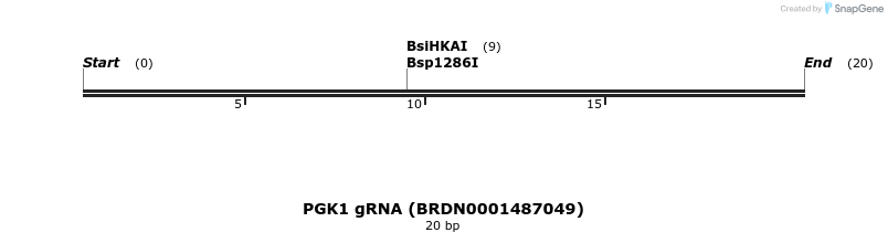 145440_map