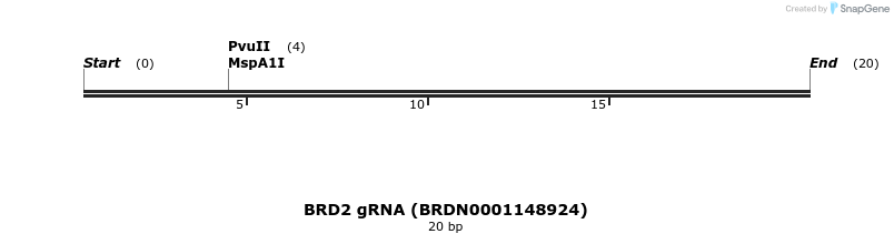145443_map