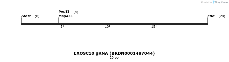 145447_map