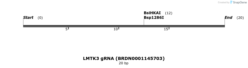 145450_map