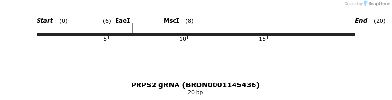 145467_map