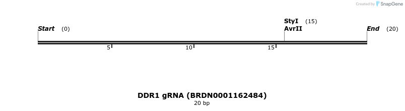 145470_map
