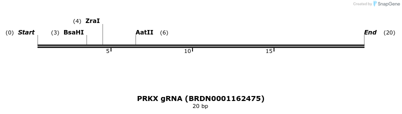 145473_map