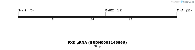 145477_map