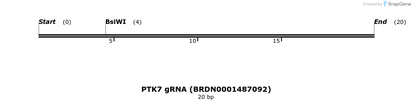 145481_map