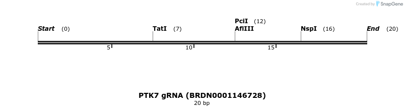 145483_map
