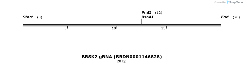 145484_map