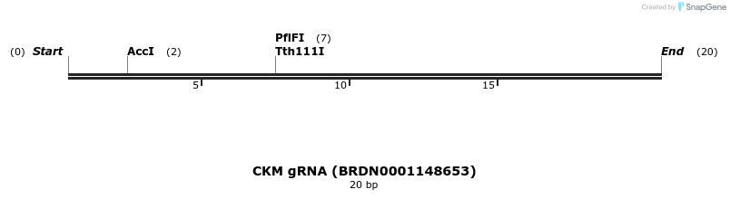 145489_map