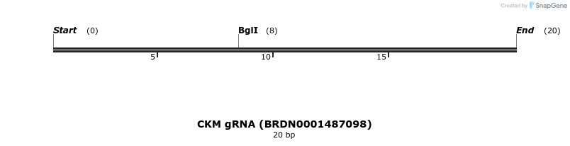 145490_map