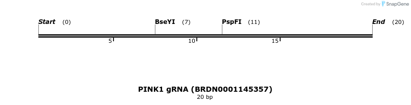 145495_map