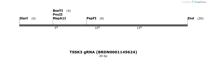 145498_map