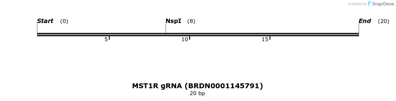 145510_map