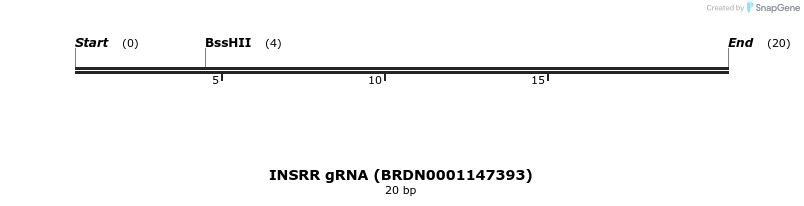 145519_map