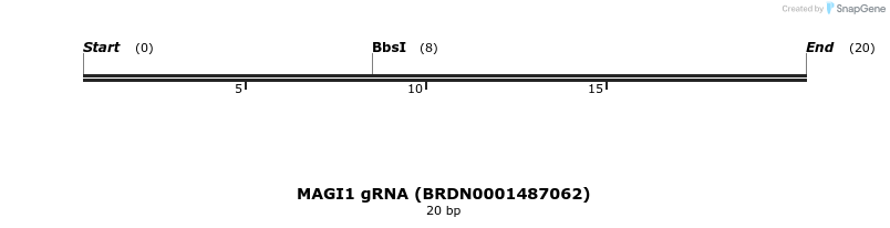 145527_map