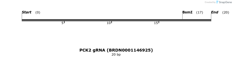 145542_map