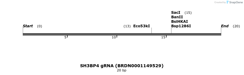 145546_map