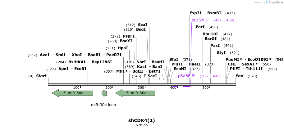 145560_map