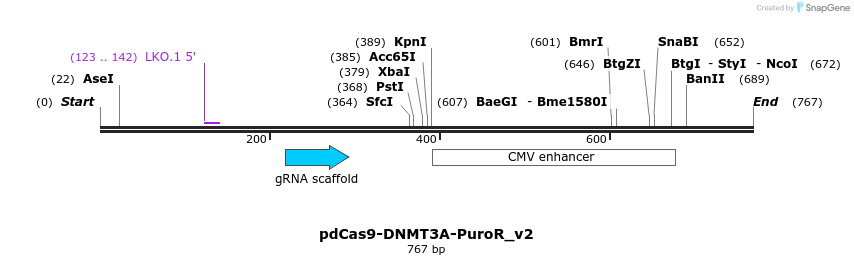 145561_map