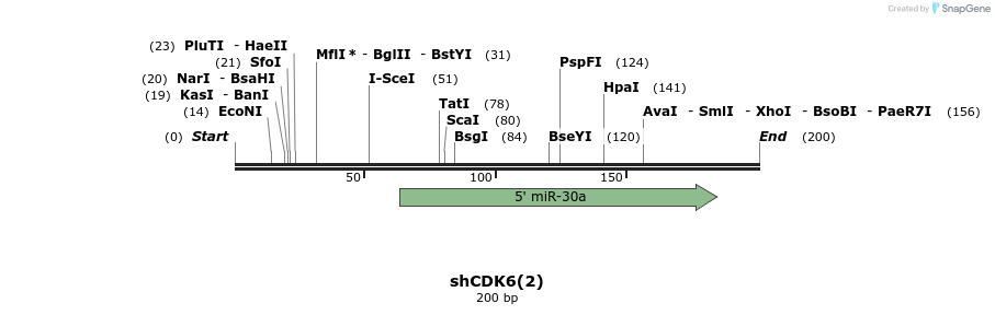 145581_map