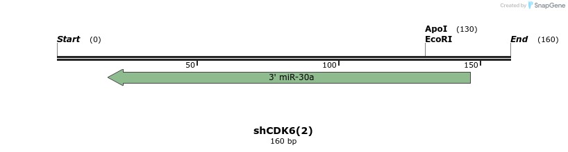 145583_map